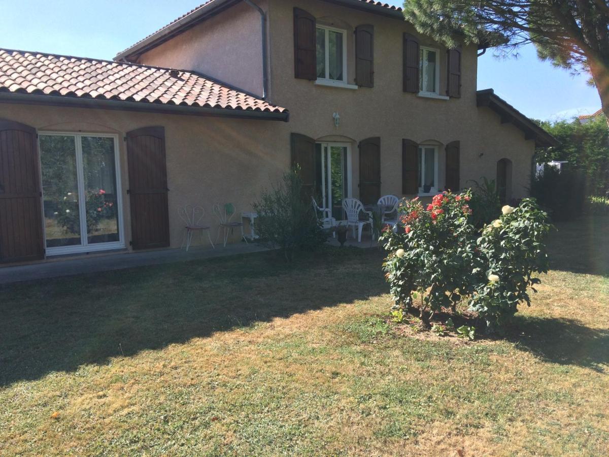 Le Paradis De La Provence Saint-Cyr-sur-le-Rhone Eksteriør billede